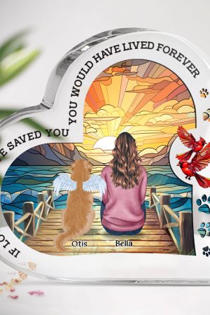 You Were My Favorite Hello & Hardest Goodbye Memorial Pet - Personalized Acrylic Plaque